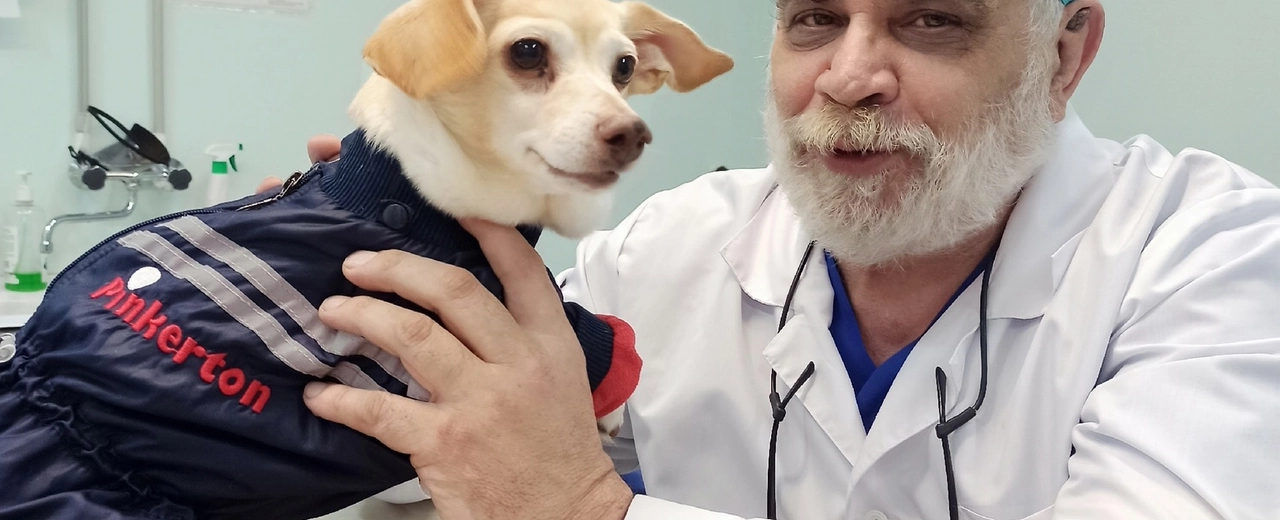 Фото галереи 2