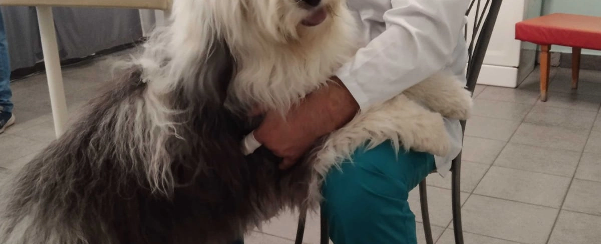 Фото галереи 3