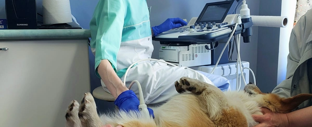 Фото галереи 5