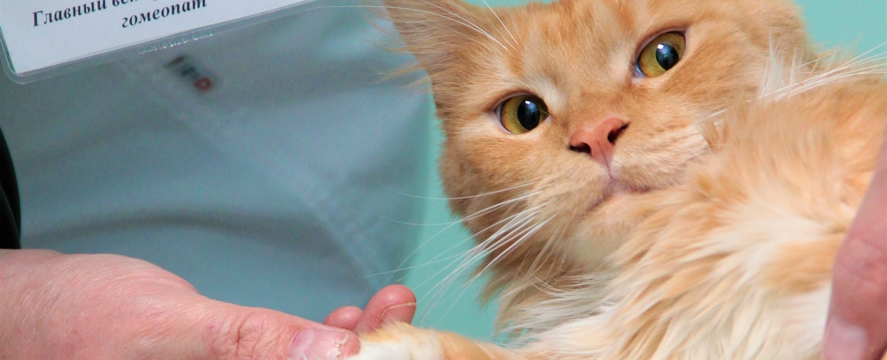 Фото галереи 7