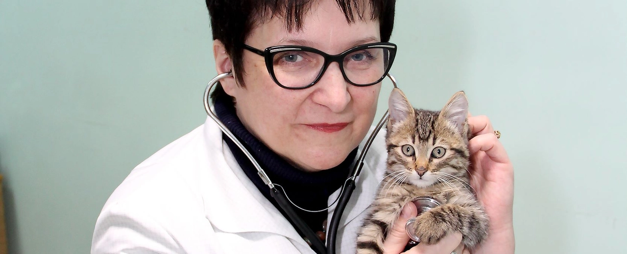 Фото галереи 8