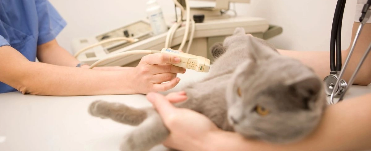 Фото галереи 1