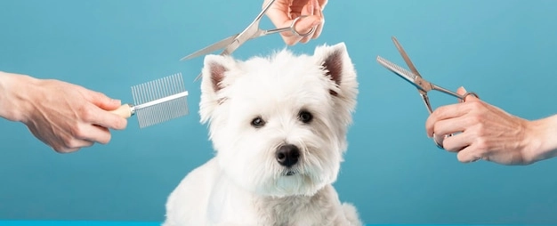 Фото галереи 2