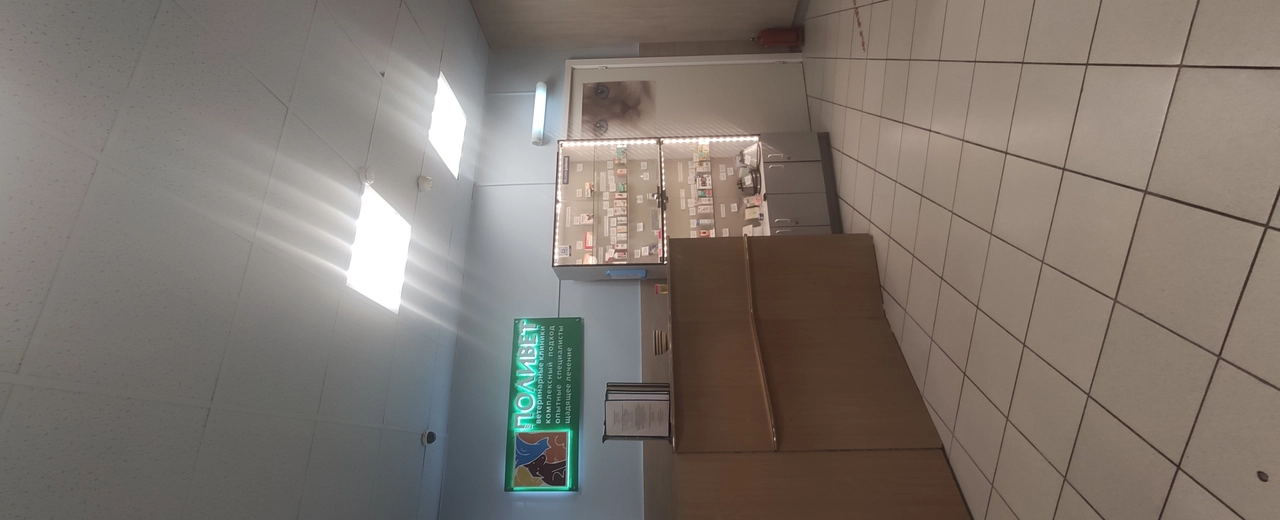 Фото галереи 4