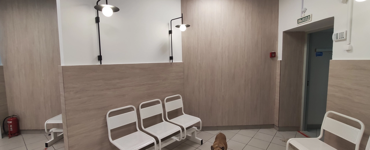 Фото галереи 6