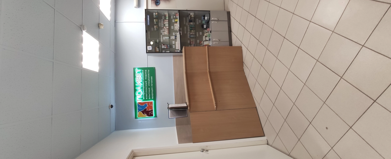 Фото галереи 7