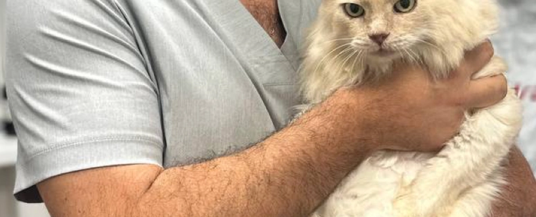 Фото галереи 1