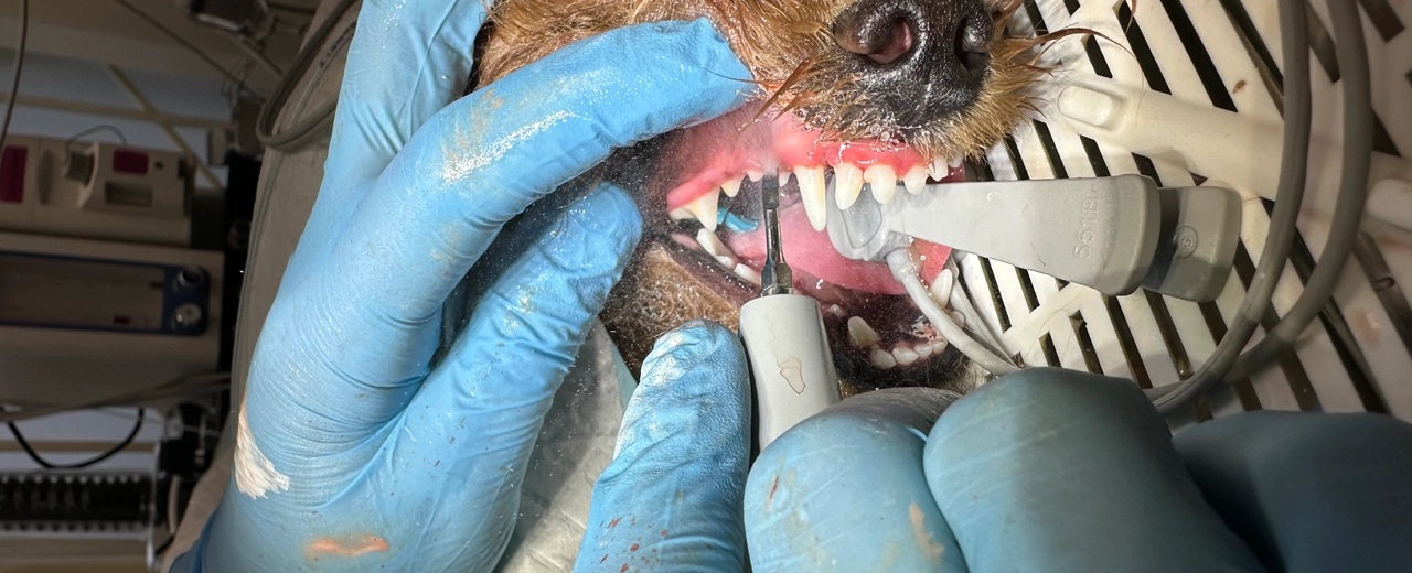 Фото галереи 2