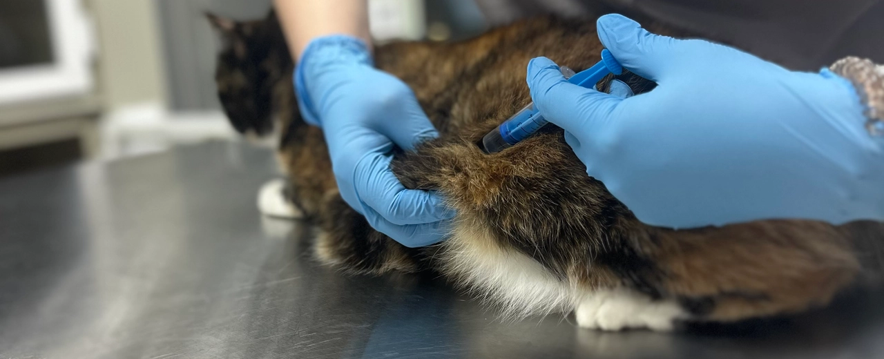 Фото галереи 3