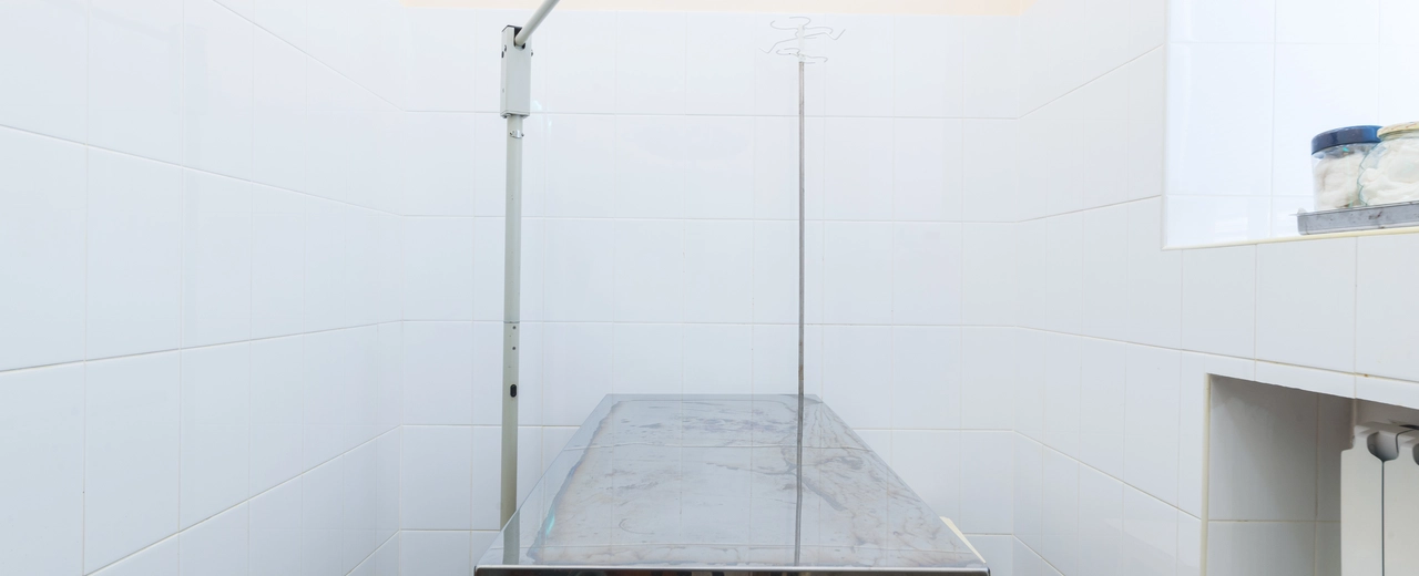 Фото галереи 1