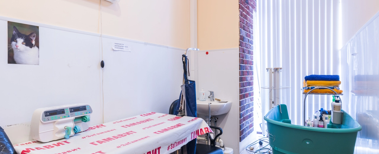 Фото галереи 3