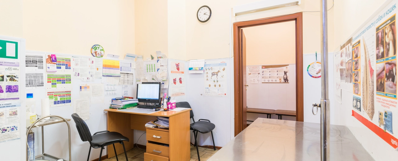 Фото галереи 4