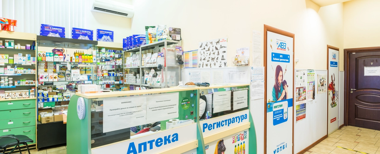 Фото галереи 5