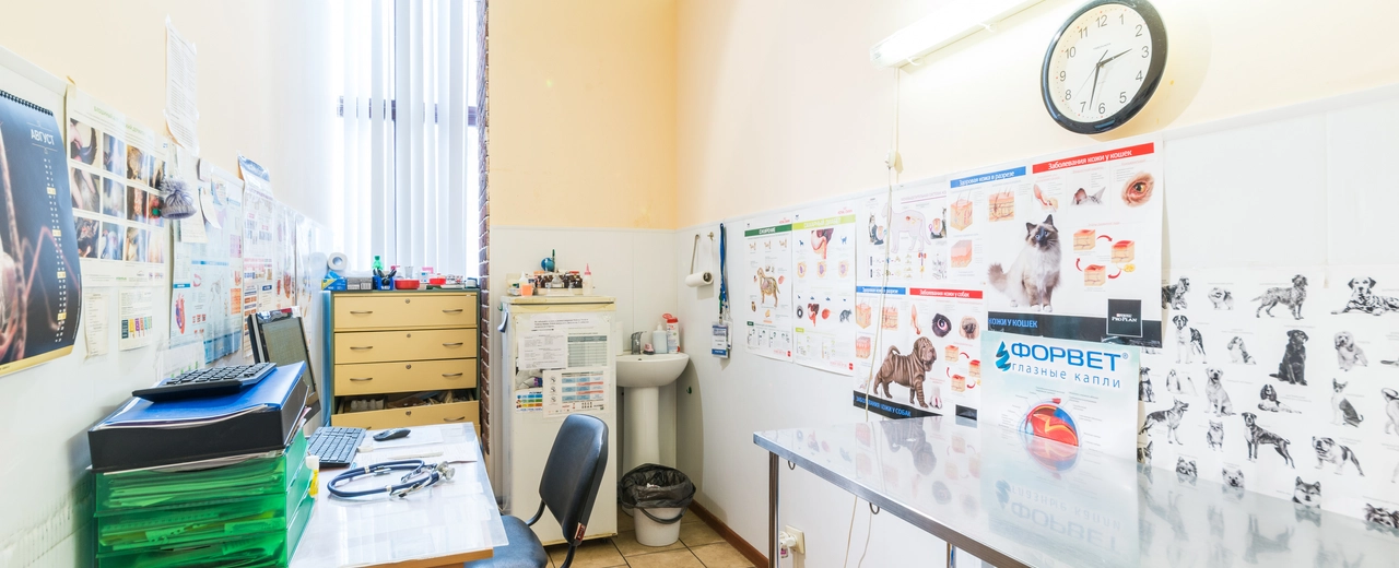 Фото галереи 6