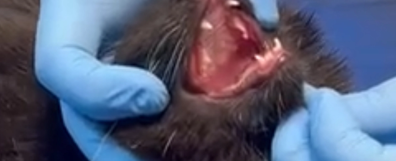 Фото галереи 4