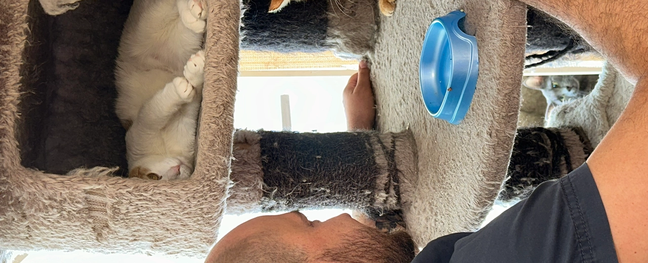 Фото галереи 5