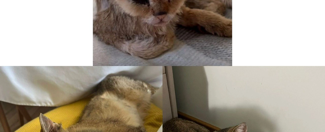 Фото галереи 7