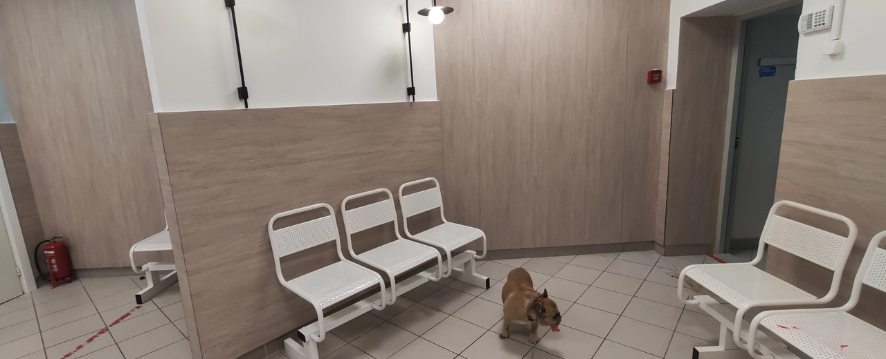 Фото галереи 2