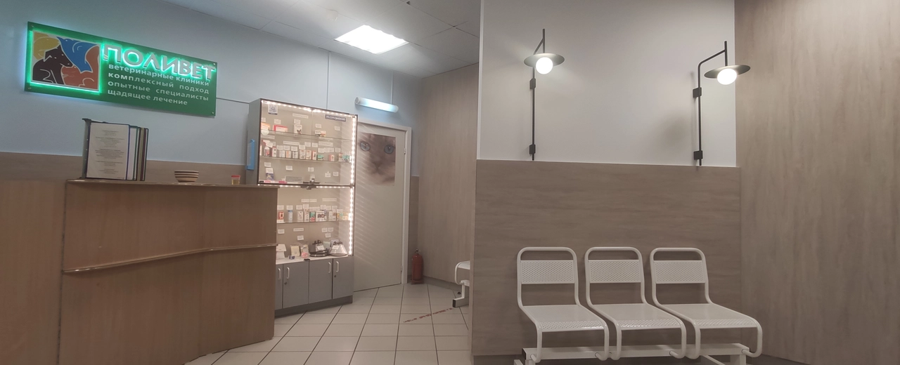 Фото галереи 3