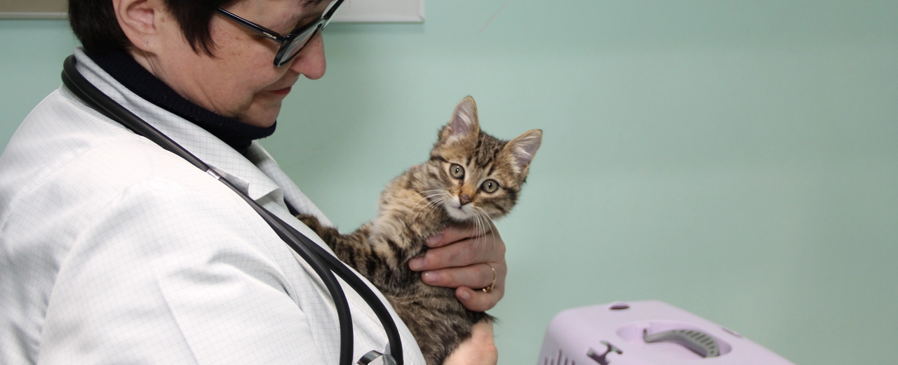 Фото галереи 8