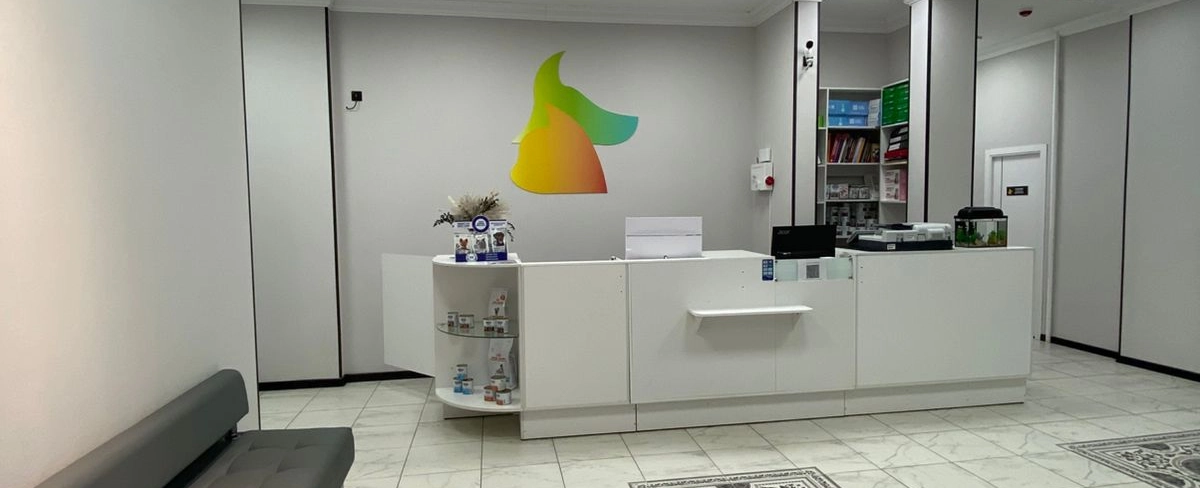 Фото галереи 3