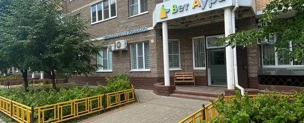 Фото галереи 4