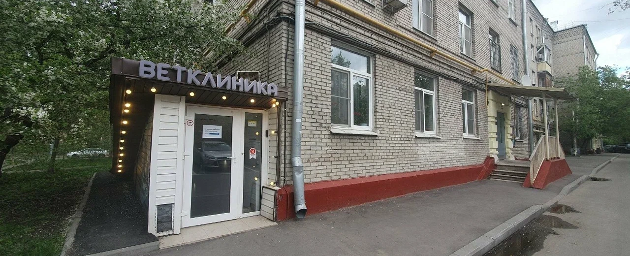 Фото галереи 1