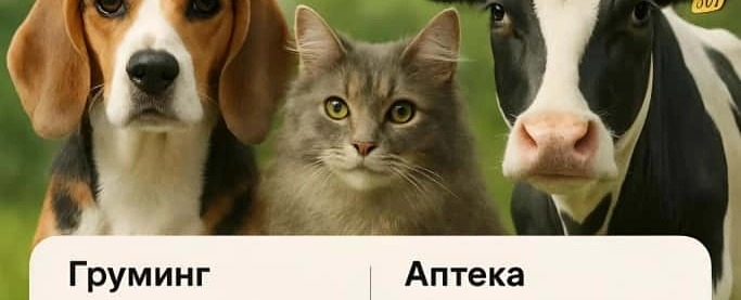 Фото галереи 1