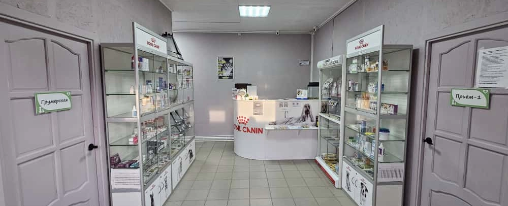 Фото галереи 2