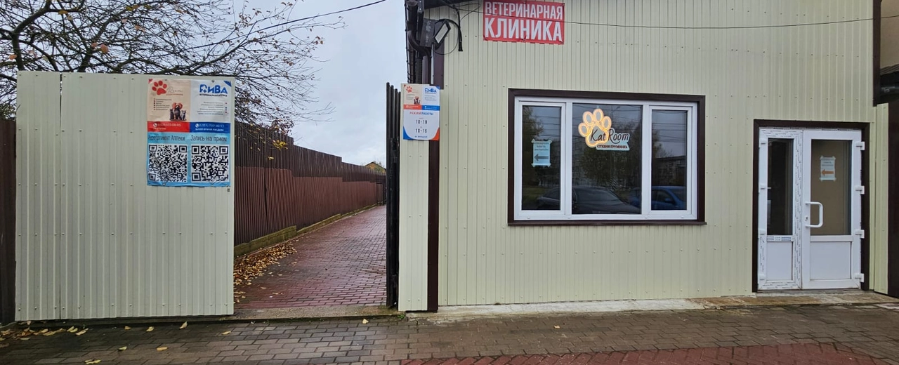 Фото галереи 4