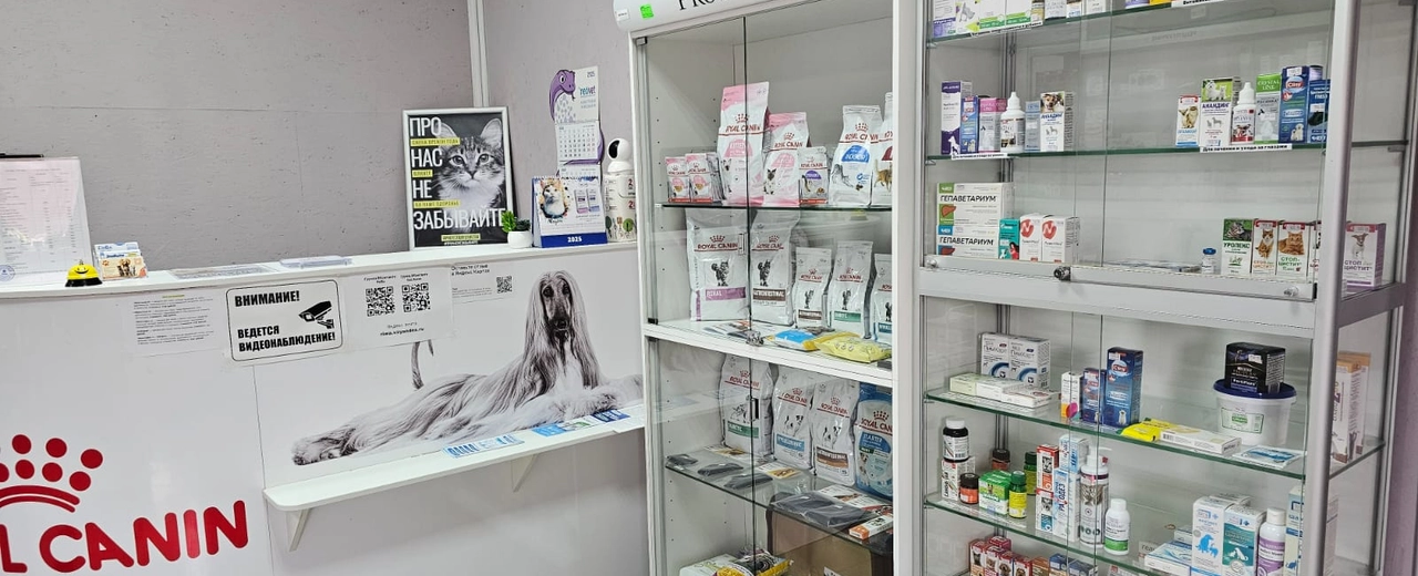 Фото галереи 5