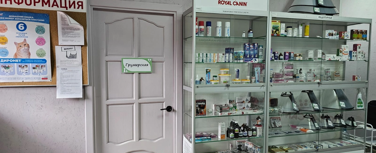 Фото галереи 6