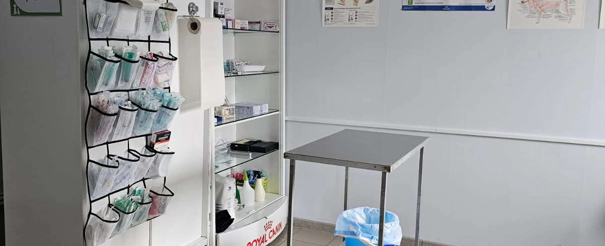 Фото галереи 7