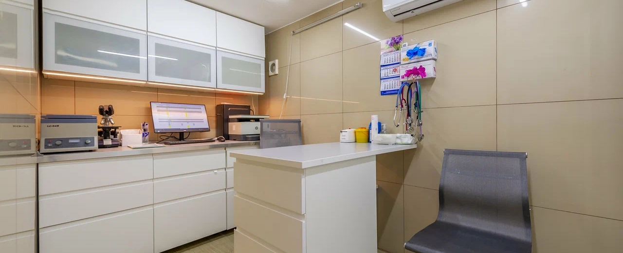 Фото галереи 1