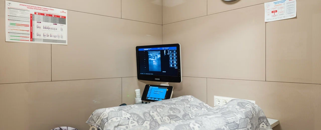 Фото галереи 3