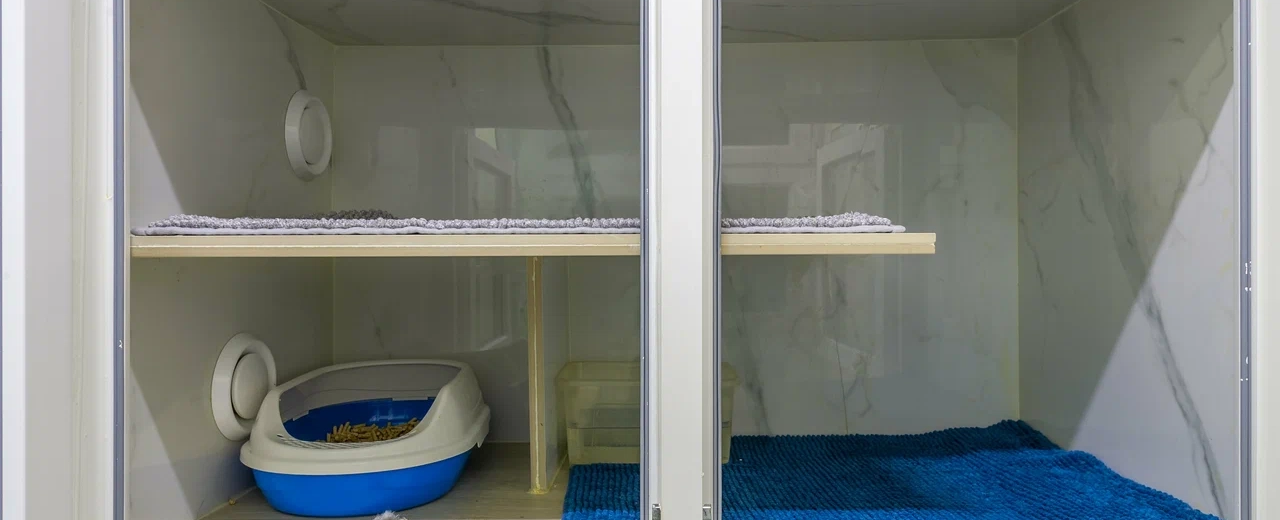 Фото галереи 4