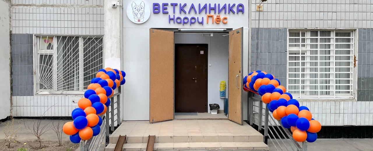 Фото галереи 6