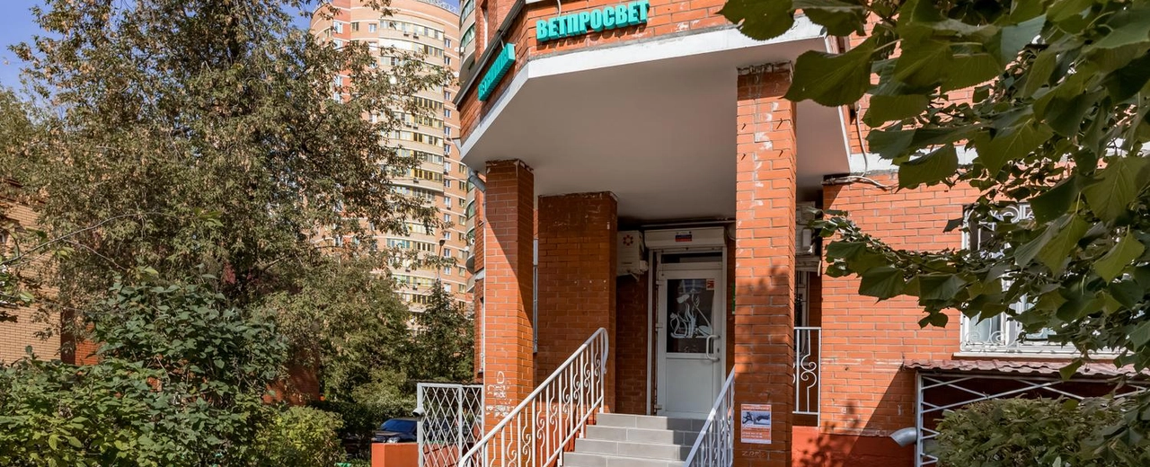 Фото галереи 1
