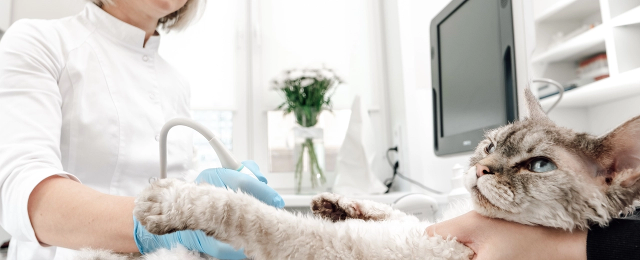 Фото галереи 1