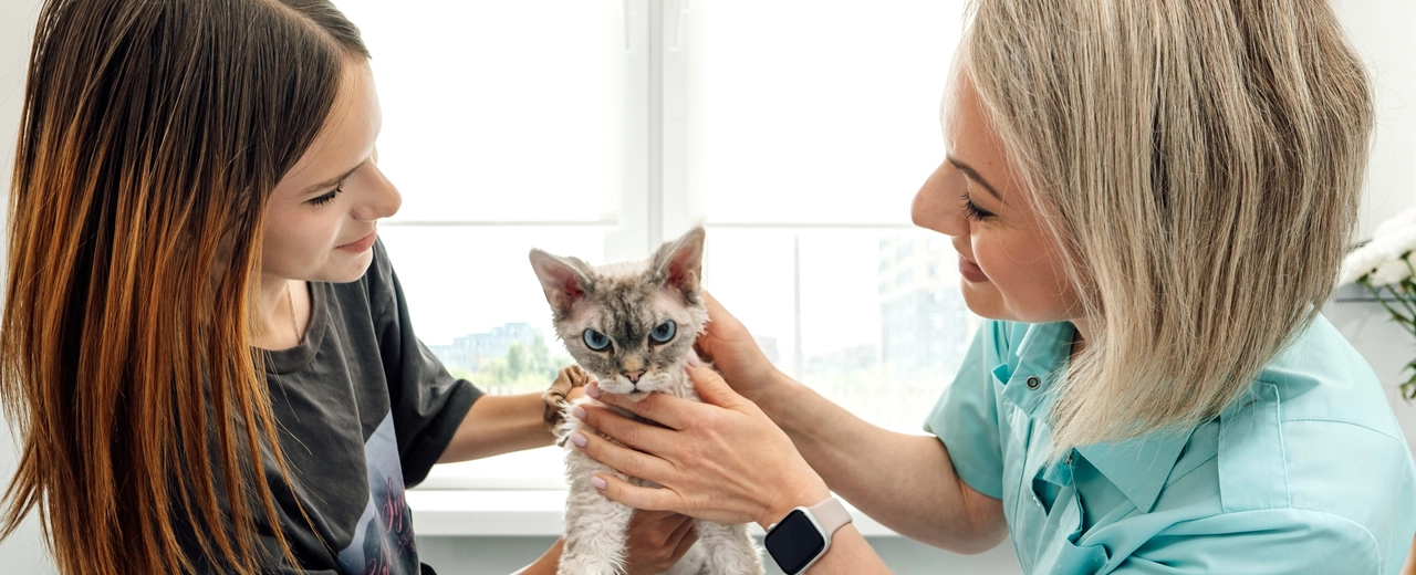 Фото галереи 2