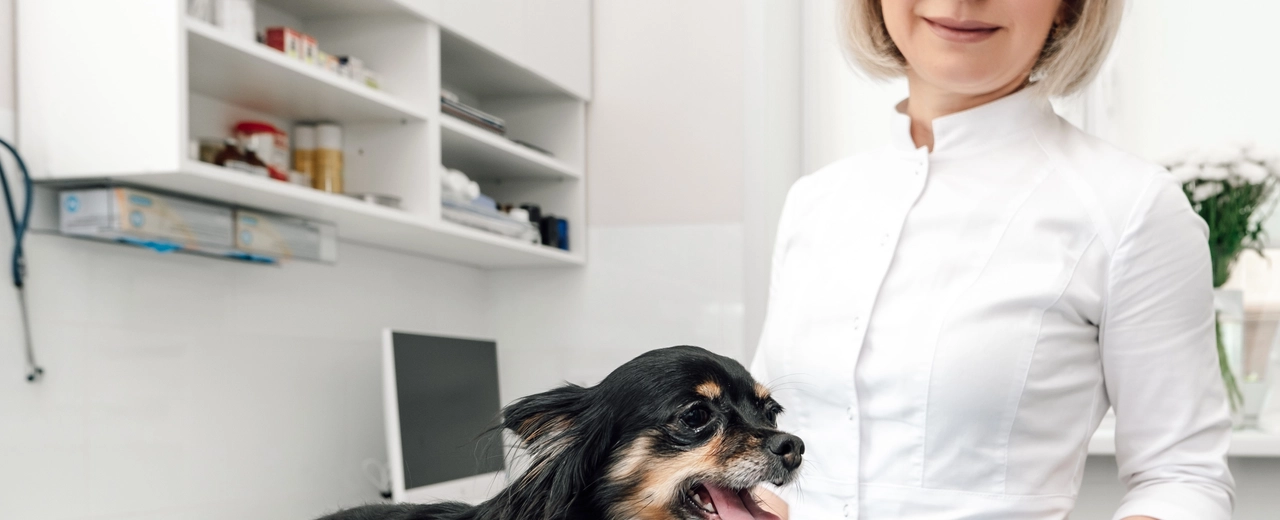 Фото галереи 3