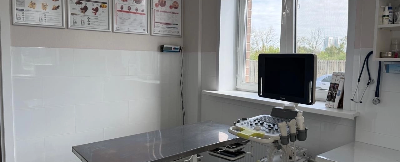 Фото галереи 4