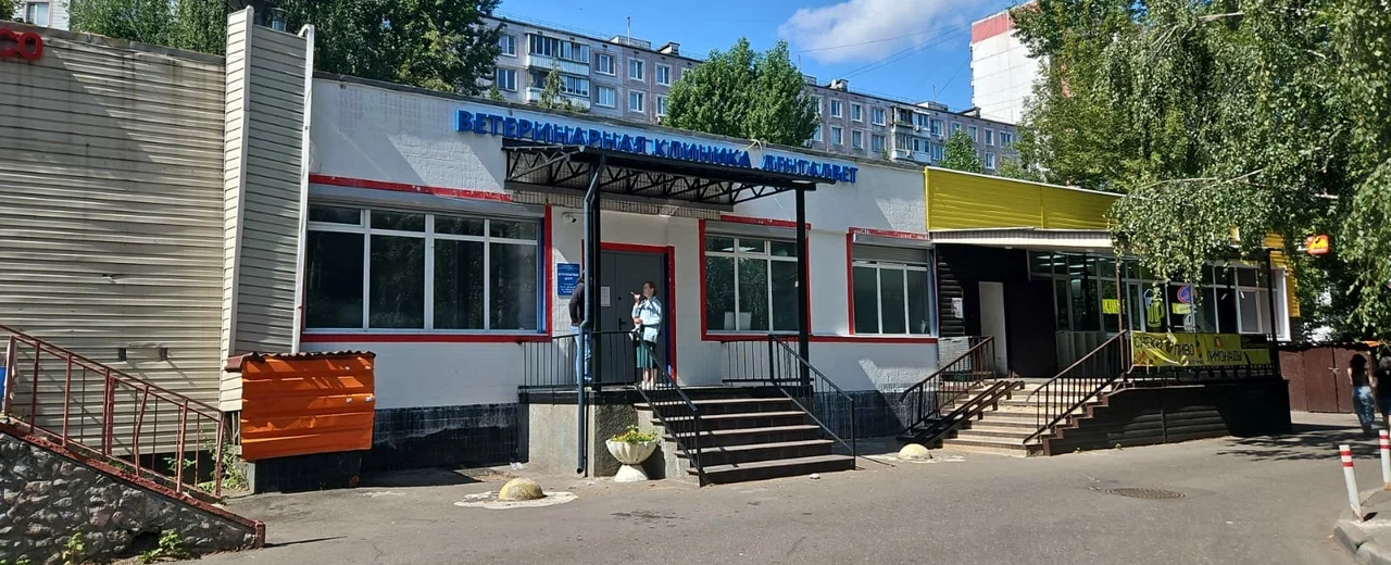 Фото галереи 1