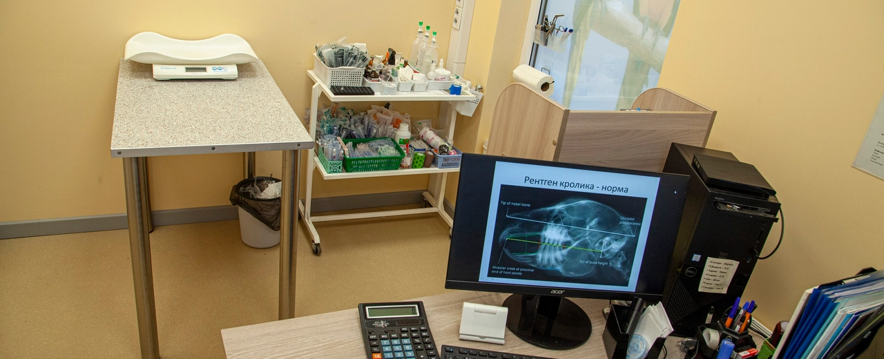 Фото галереи 4