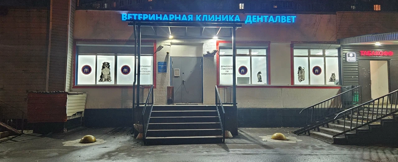 Фото галереи 2