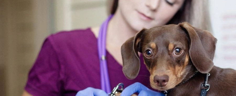 Фото галереи 1