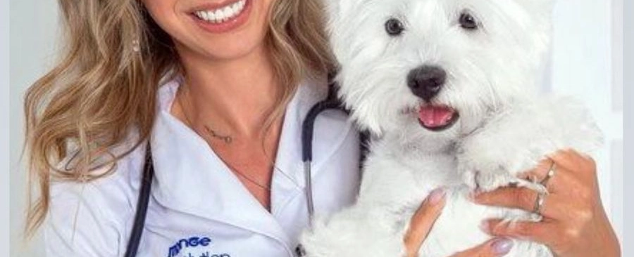 Фото галереи 2