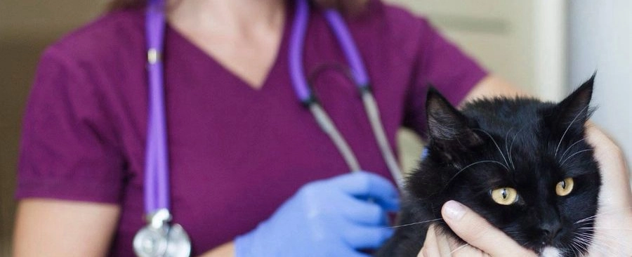 Фото галереи 4