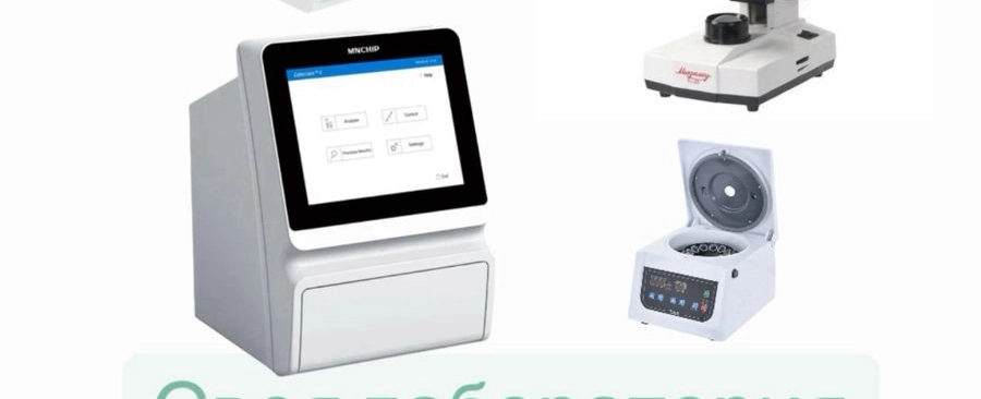 Фото галереи 5