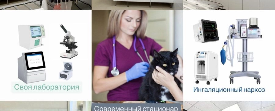 Фото галереи 6